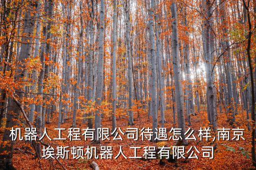 中國(guó)機(jī)器人工程有限公司待遇怎么樣,南京埃斯頓機(jī)器人工程有限公司