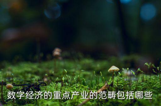 數(shù)字經(jīng)濟(jì)的重點(diǎn)產(chǎn)業(yè)的范疇包括哪些