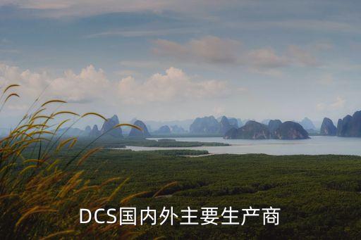 DCS國內(nèi)外主要生產(chǎn)商