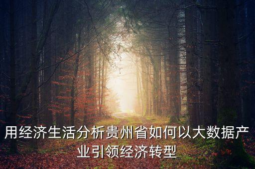 用經(jīng)濟(jì)生活分析貴州省如何以大數(shù)據(jù)產(chǎn)業(yè)引領(lǐng)經(jīng)濟(jì)轉(zhuǎn)型