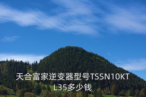 天合富家，天合富家逆變器型號TSSN10KTL35多少錢