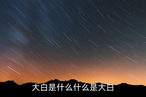大白是什么什么是大白