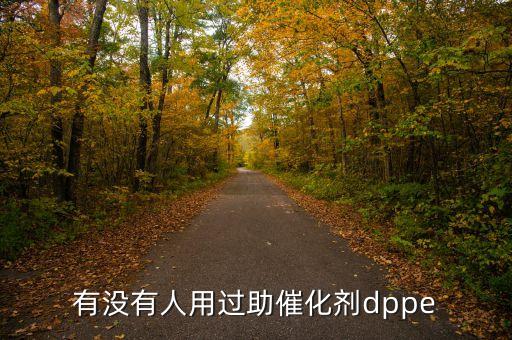 有沒有人用過助催化劑dppe