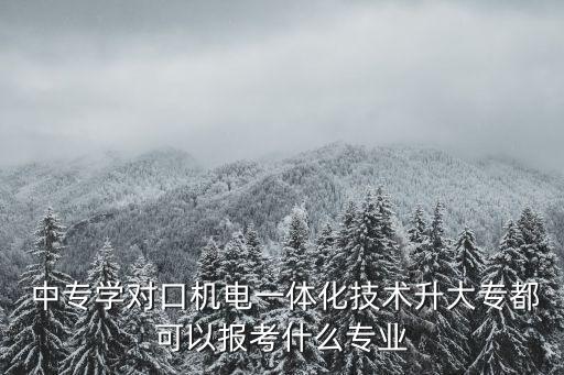 中專電氣工程及自動(dòng)化,沈陽(yáng)工業(yè)大學(xué)電氣工程及其自動(dòng)化