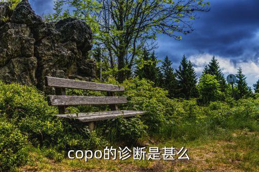 copo的診斷是甚么