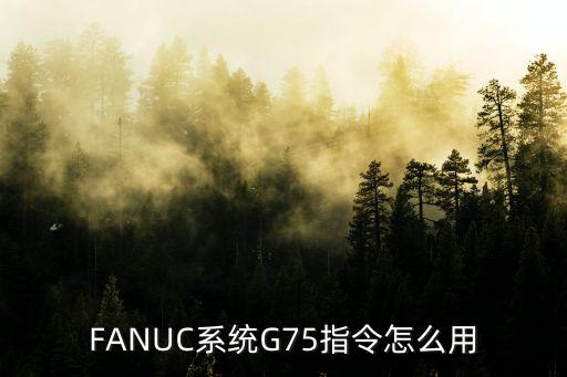 FANUC系統(tǒng)G75指令怎么用