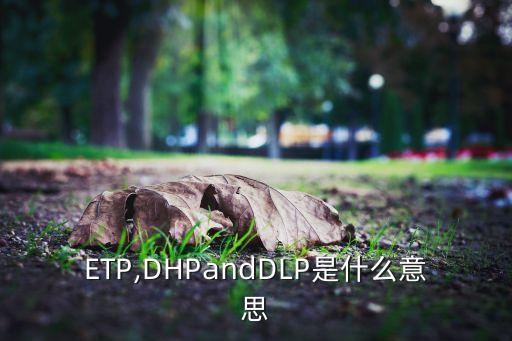 ETP,DHPandDLP是什么意思
