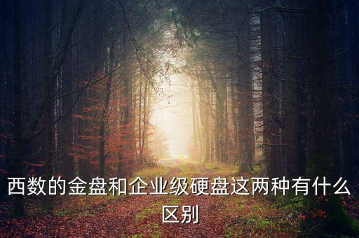 西數(shù)的金盤(pán)和企業(yè)級(jí)硬盤(pán)這兩種有什么區(qū)別