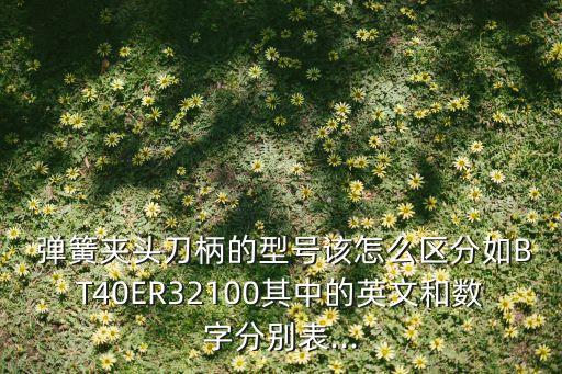  彈簧夾頭刀柄的型號(hào)該怎么區(qū)分如BT40ER32100其中的英文和數(shù)字分別表...