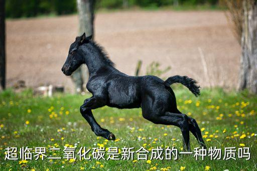 超臨界二氧化碳，自然界中有超臨界二氧化碳流體嗎