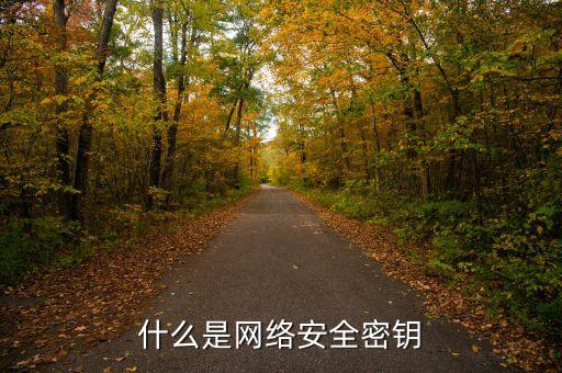什么是網(wǎng)絡(luò)安全密鑰