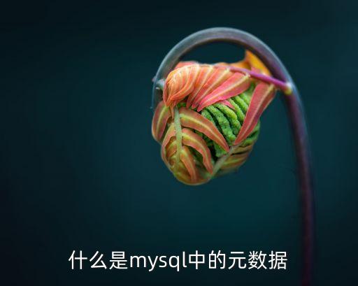元數(shù)據(jù)，何謂元數(shù)據(jù)