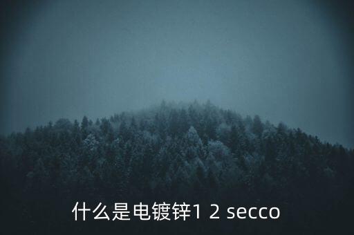 什么是電鍍鋅1 2 secco
