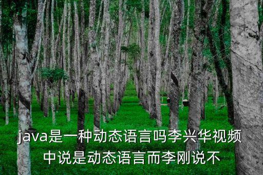 動(dòng)態(tài)語(yǔ)言，動(dòng)態(tài)語(yǔ)言現(xiàn)在哪個(gè)好