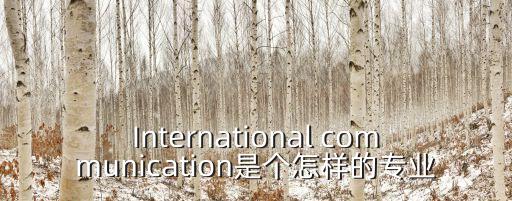 International communication是個怎樣的專業(yè)