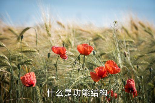 什么是功能結(jié)構(gòu)