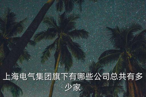 上海電氣集團旗下有哪些公司總共有多少家