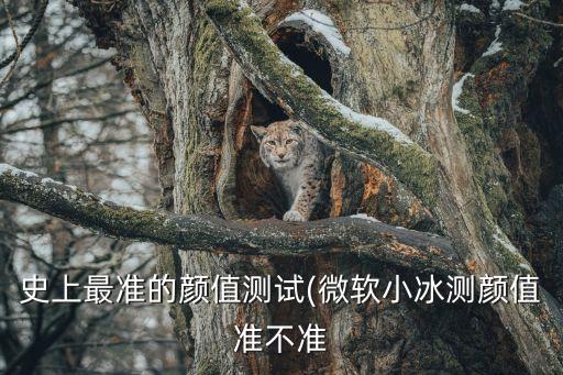 史上最準的顏值測試(微軟小冰測顏值準不準
