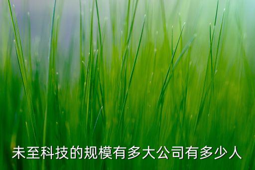 未至科技的規(guī)模有多大公司有多少人