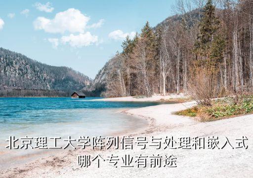 北京理工大學陣列信號與處理和嵌入式哪個專業(yè)有前途