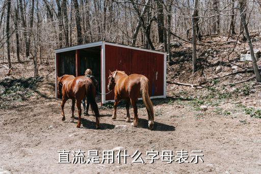 直流符號(hào)，直流是用什么字母表示