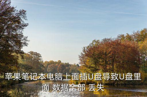蘋果筆記本電腦上面插U盤導致U盤里面 數據全部 丟失