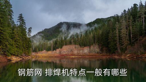 鋼筋網(wǎng) 排焊機(jī)特點(diǎn)一般有哪些