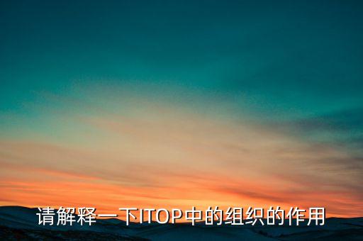 請(qǐng)解釋一下ITOP中的組織的作用