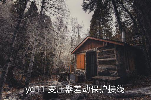 yd11 變壓器差動保護(hù)接線