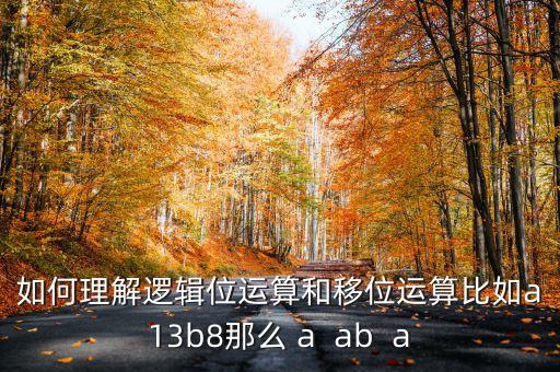 移位運算，如何理解邏輯位運算和移位運算比如a13b8那么 a  ab  a
