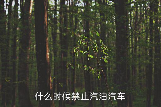 什么時候禁止汽油汽車