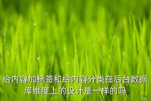 給內(nèi)容加標(biāo)簽和給內(nèi)容分類在后臺(tái)數(shù)據(jù)庫(kù)維度上的設(shè)計(jì)是一樣的嗎