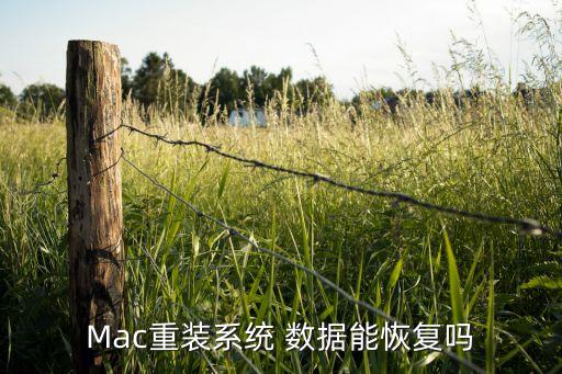 mac 數(shù)據(jù)丟失,Mac數(shù)據(jù)丟失可以恢復(fù)嗎