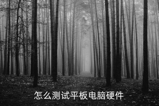 怎么測試平板電腦硬件