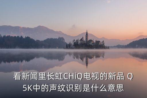 聲紋識(shí)別，看新聞里長虹CHiQ電視的新品 Q5K中的聲紋識(shí)別是什么意思