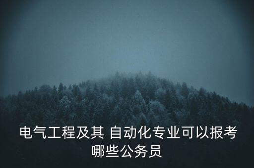  電氣工程及其 自動化專業(yè)可以報考哪些公務(wù)員