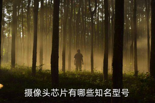 攝像頭芯片有哪些知名型號(hào)