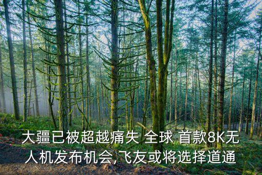 大疆已被超越痛失 全球 首款8K無(wú)人機(jī)發(fā)布機(jī)會(huì),飛友或?qū)⑦x擇道通
