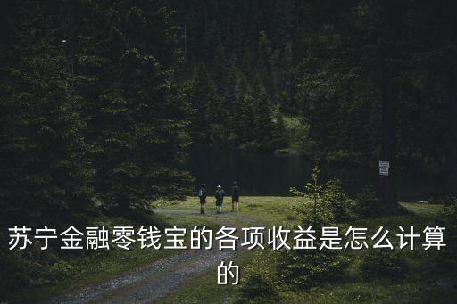 蘇寧金融零錢寶的各項(xiàng)收益是怎么計(jì)算的