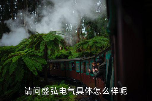 盛弘電氣，請問盛弘電氣具體怎么樣呢