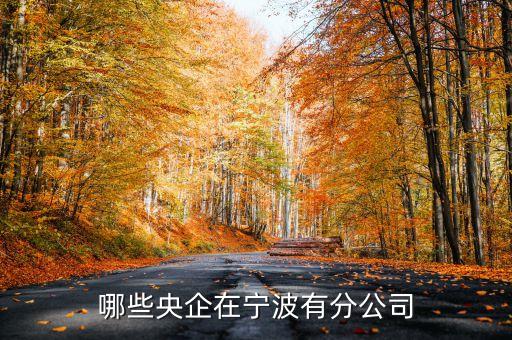 哪些央企在寧波有分公司