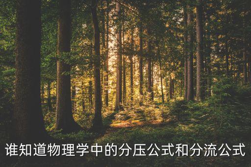 誰知道物理學(xué)中的分壓公式和分流公式