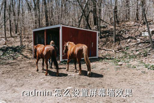 radmin 怎么設(shè)置屏幕墻效果