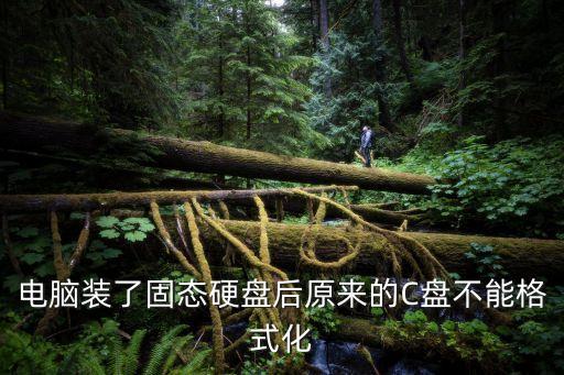 自組織系統(tǒng)，wsn是什么意思