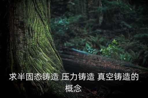 半固態(tài)，半固態(tài)半液態(tài)用物理名詞怎么說(shuō)