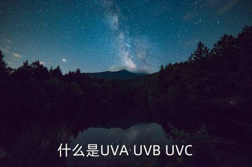 什么是UVA UVB UVC