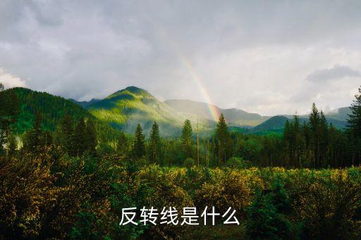 反轉(zhuǎn)線是什么