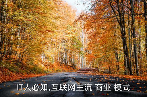 IT人必知,互聯(lián)網(wǎng)主流 商業(yè) 模式