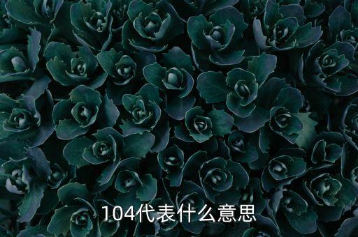 104代表什么意思