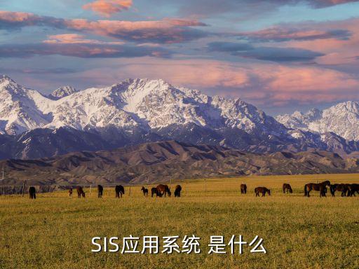 應(yīng)用系統(tǒng)，如何設(shè)計開發(fā)數(shù)據(jù)庫應(yīng)用系統(tǒng)